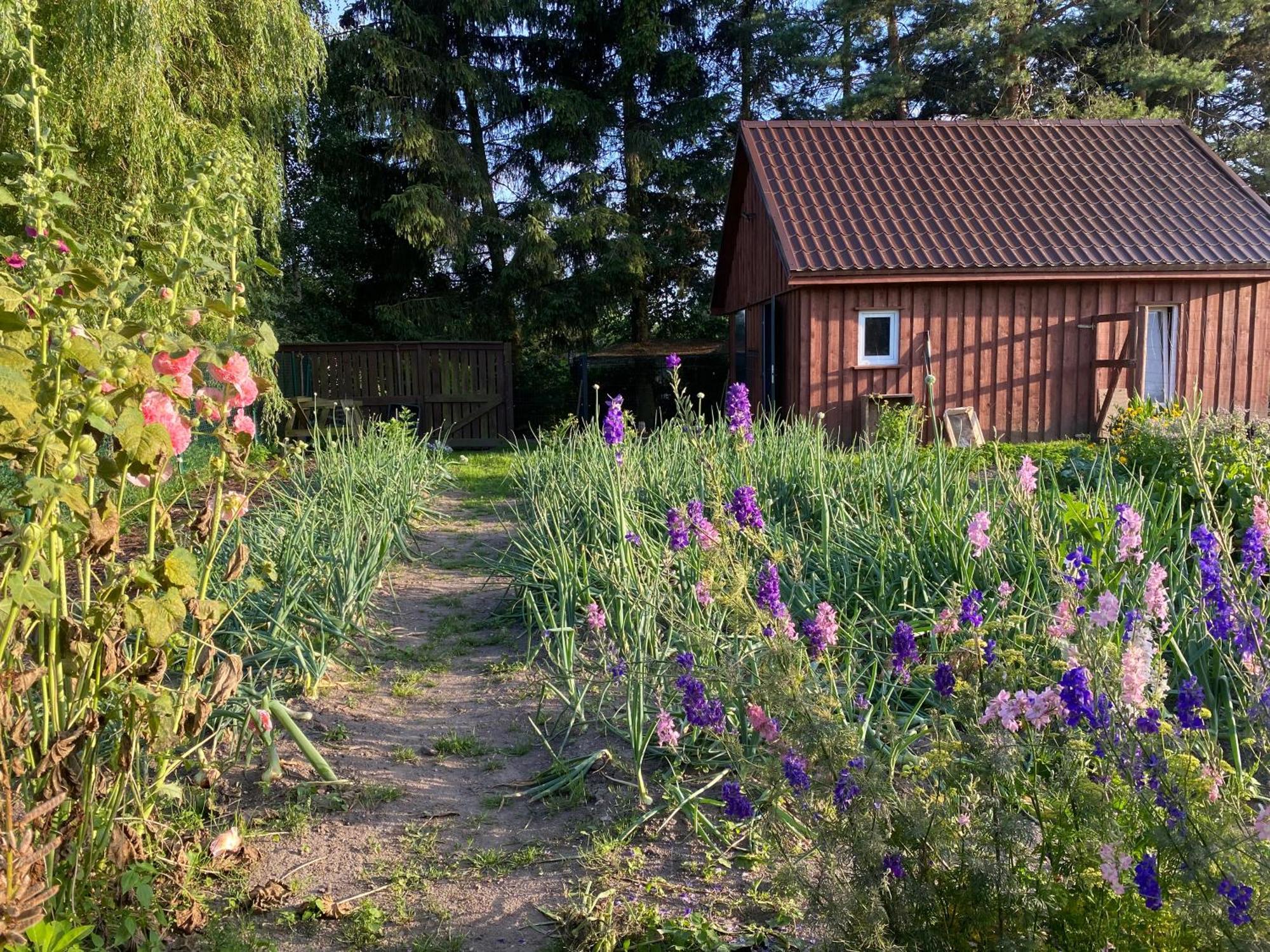 Agroturystyka Omelia Члухув Екстер'єр фото